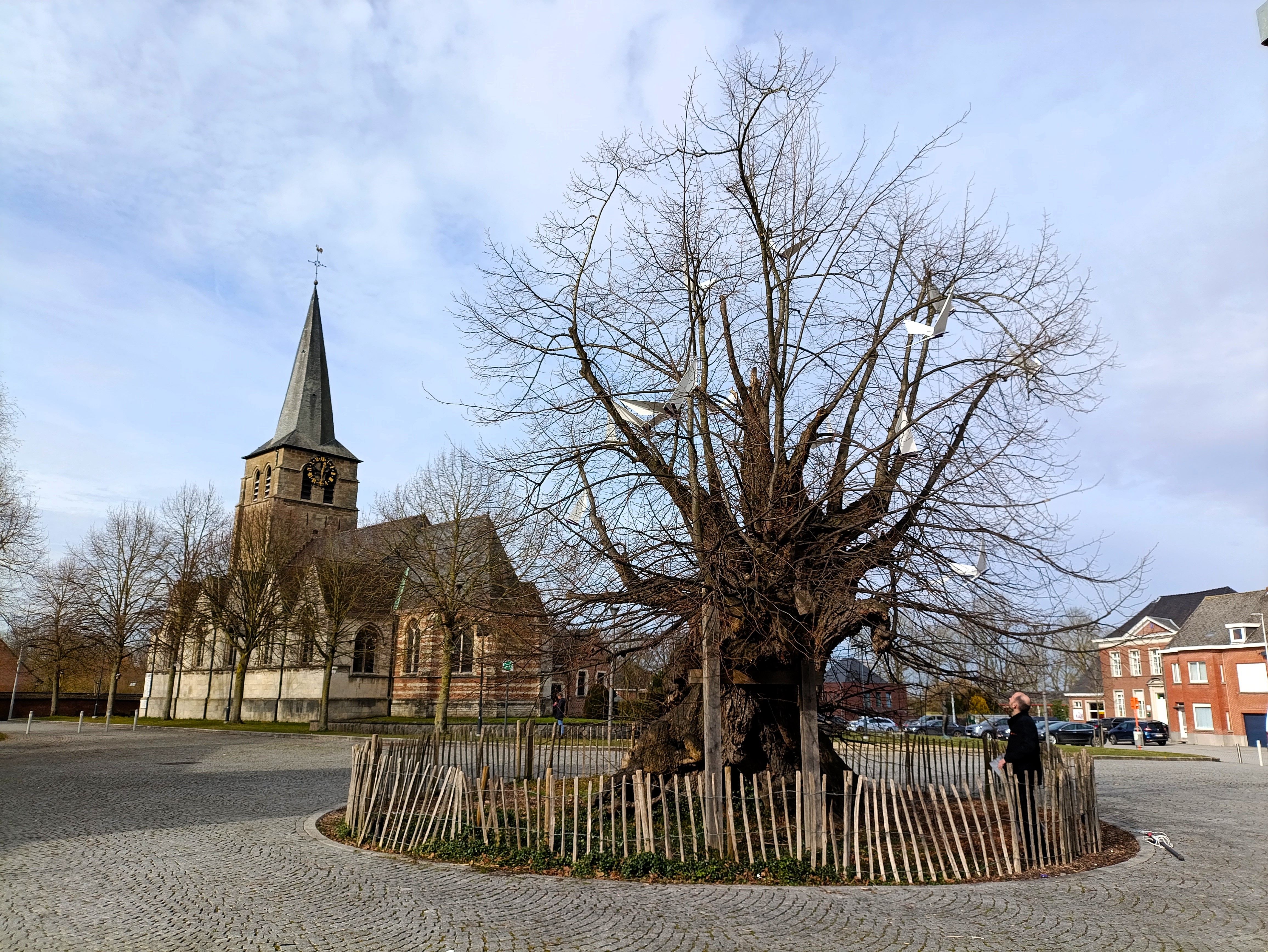 dorpslinde
