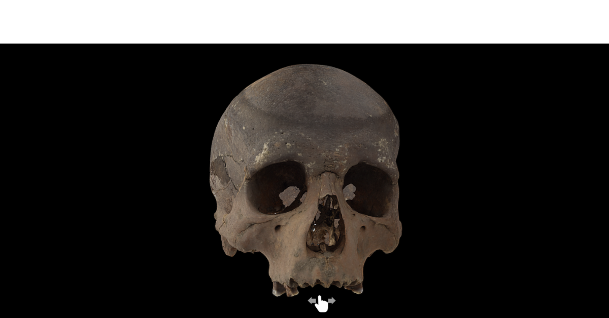 schedel op zwarte achtergrond - klik op de afbeelding om de schedel in 3d te zien 