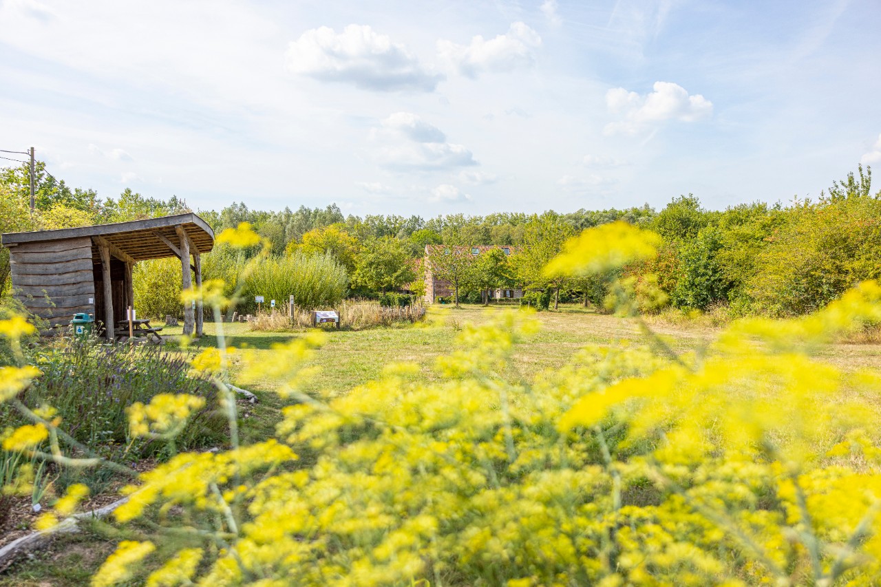 biotoop en landschap studies
