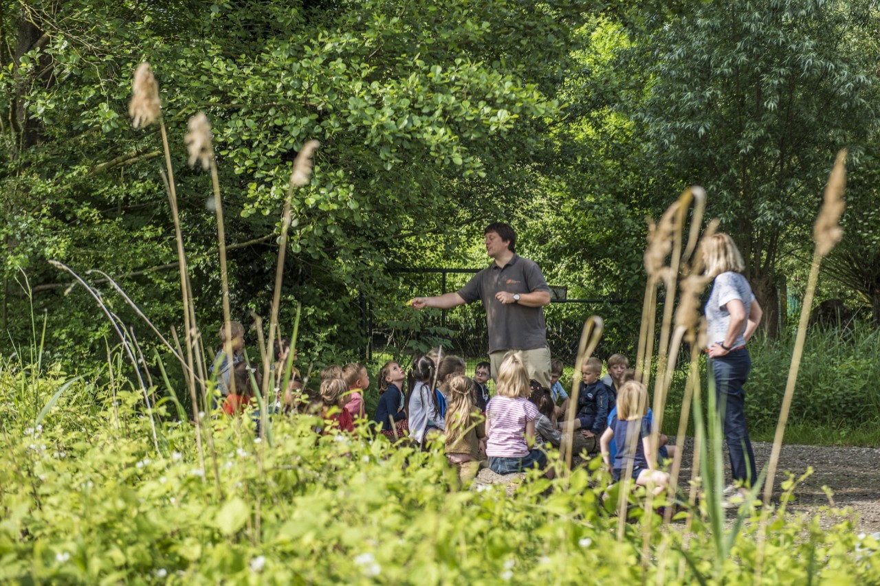 herfst en zaadverpsreiding