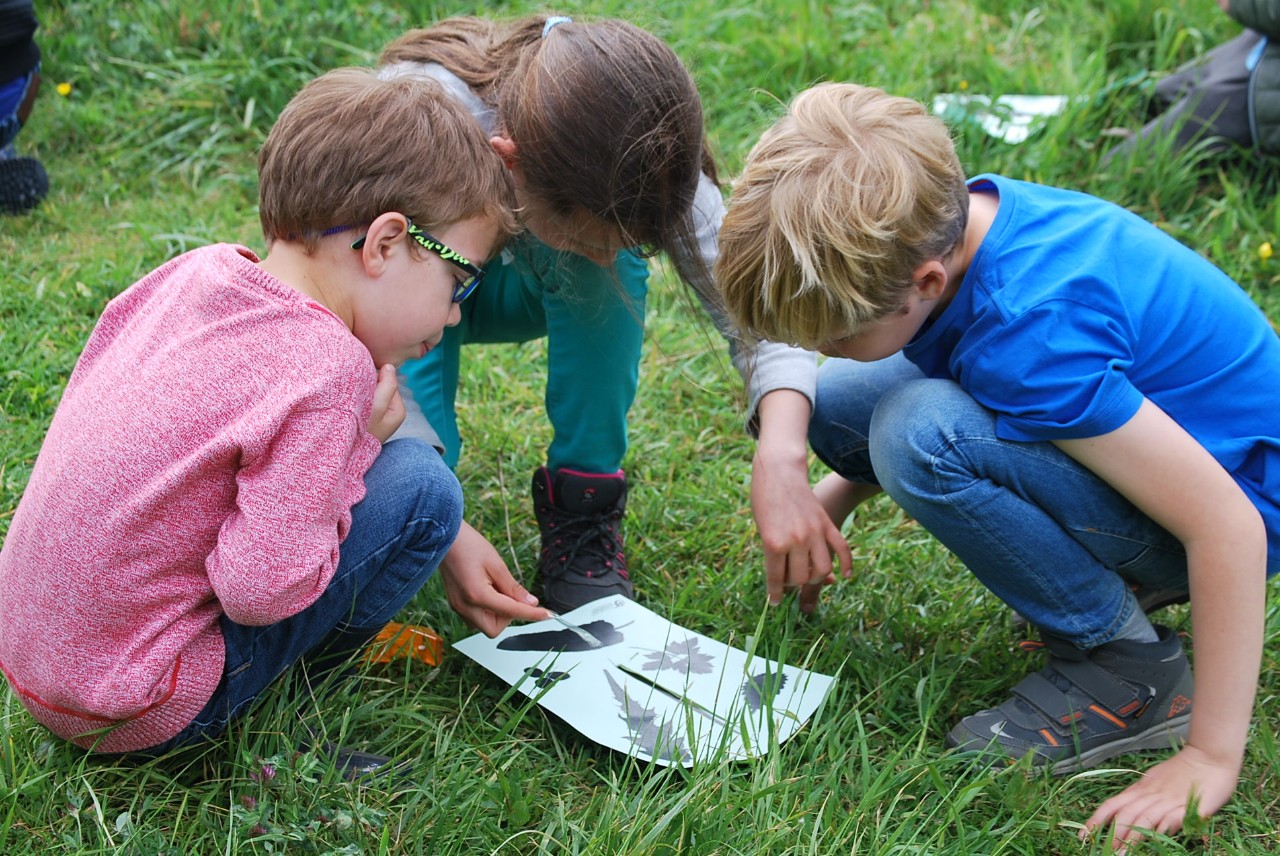 met willy en familie de tuin in