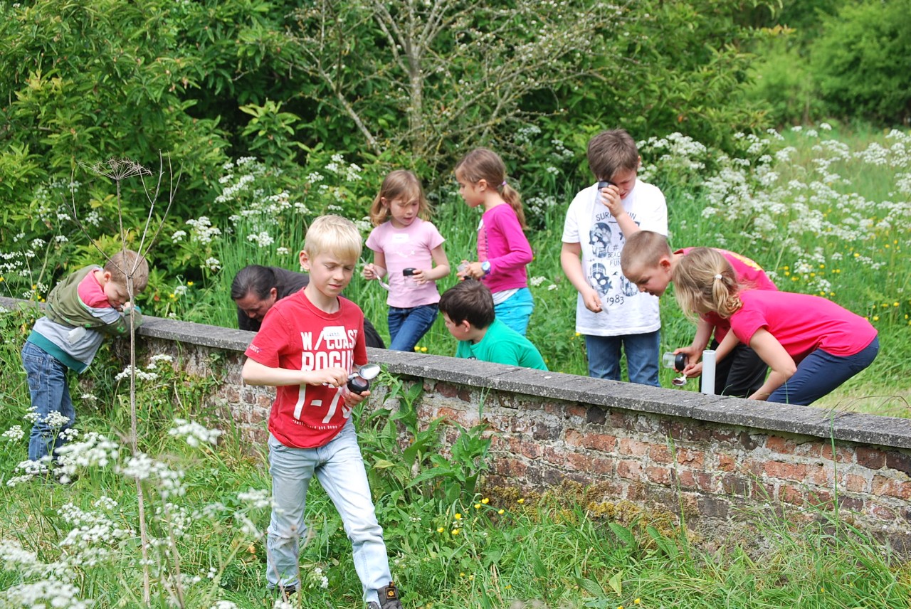 speurneuzen in de scheldevallei