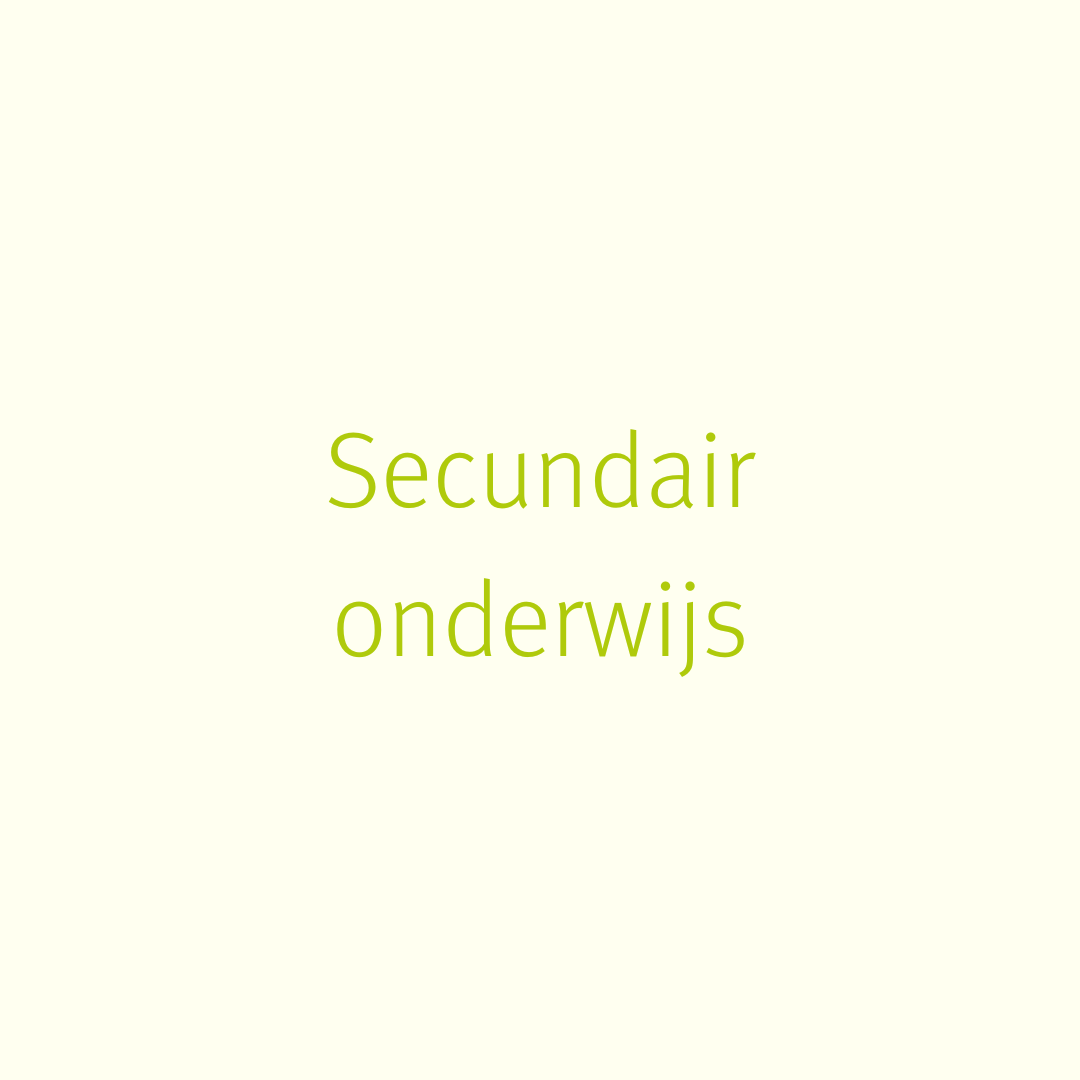 Secundair onderwijs