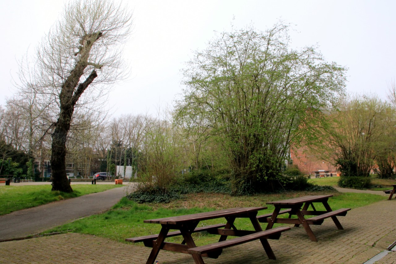 Richtpunt campus Gent Henleykaai speelplaats met picknickbanken in de groene omgeving