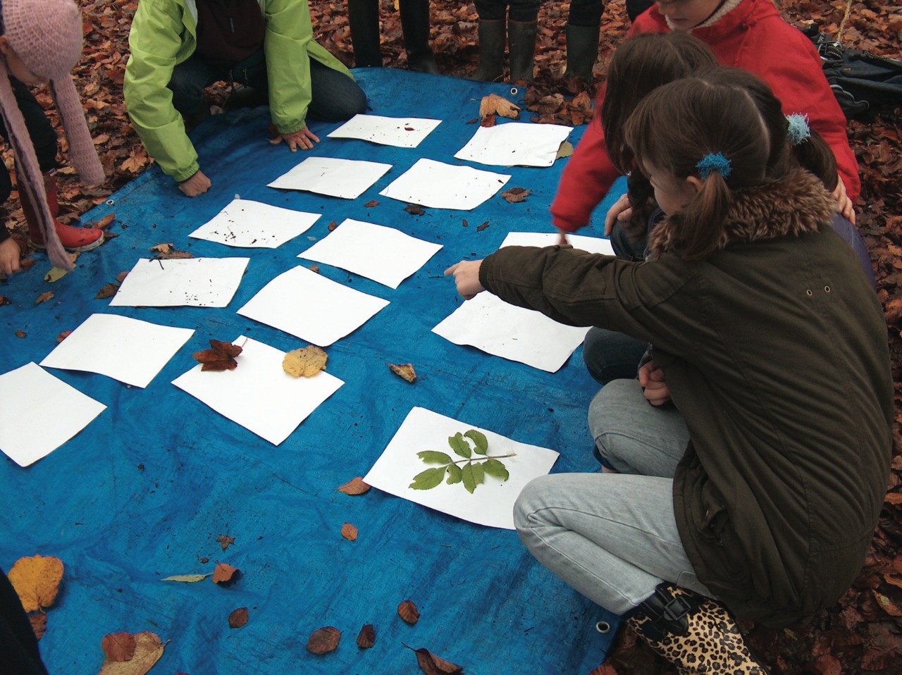met willy en familie het bos in kinderen kijken op papieren en onderzoeken bladeren
