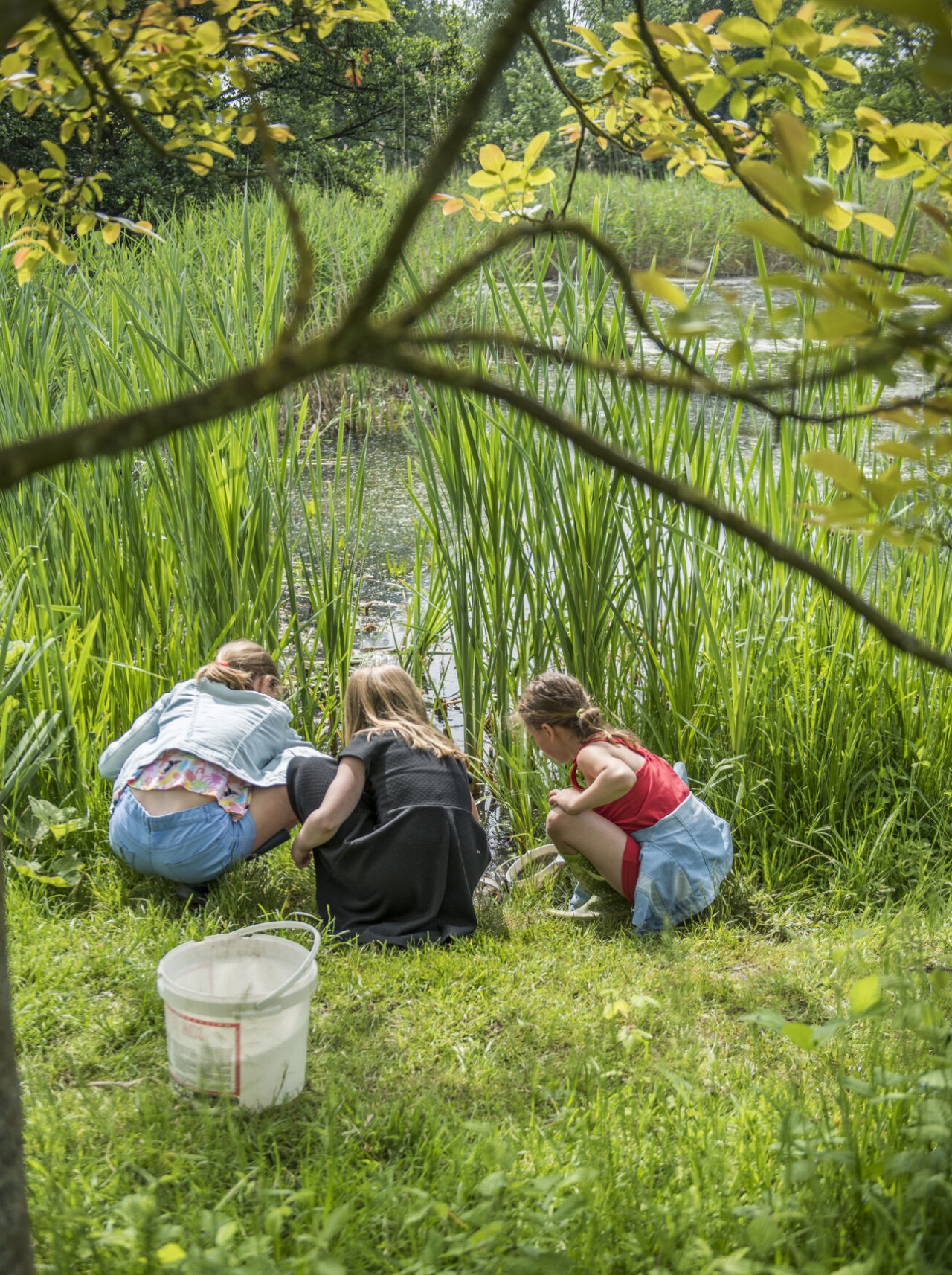 kinderen onderzoeken het water