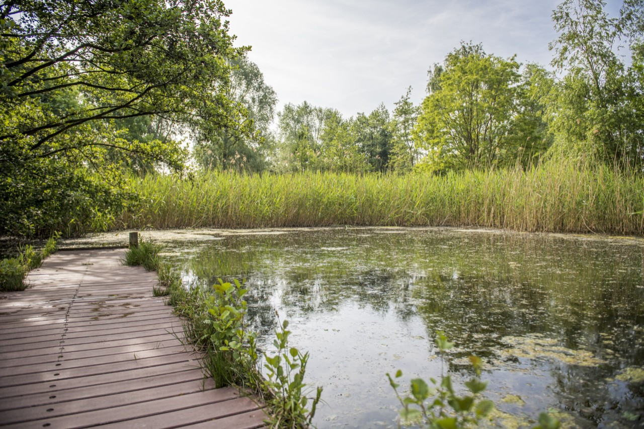 Vijver van bastion 8