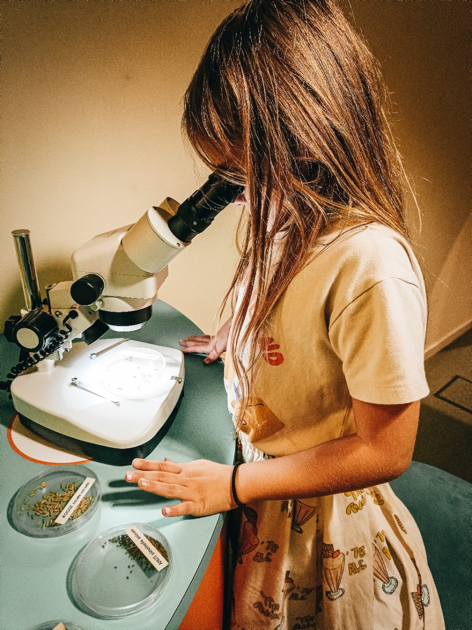 Meisje kijkt in microscoop