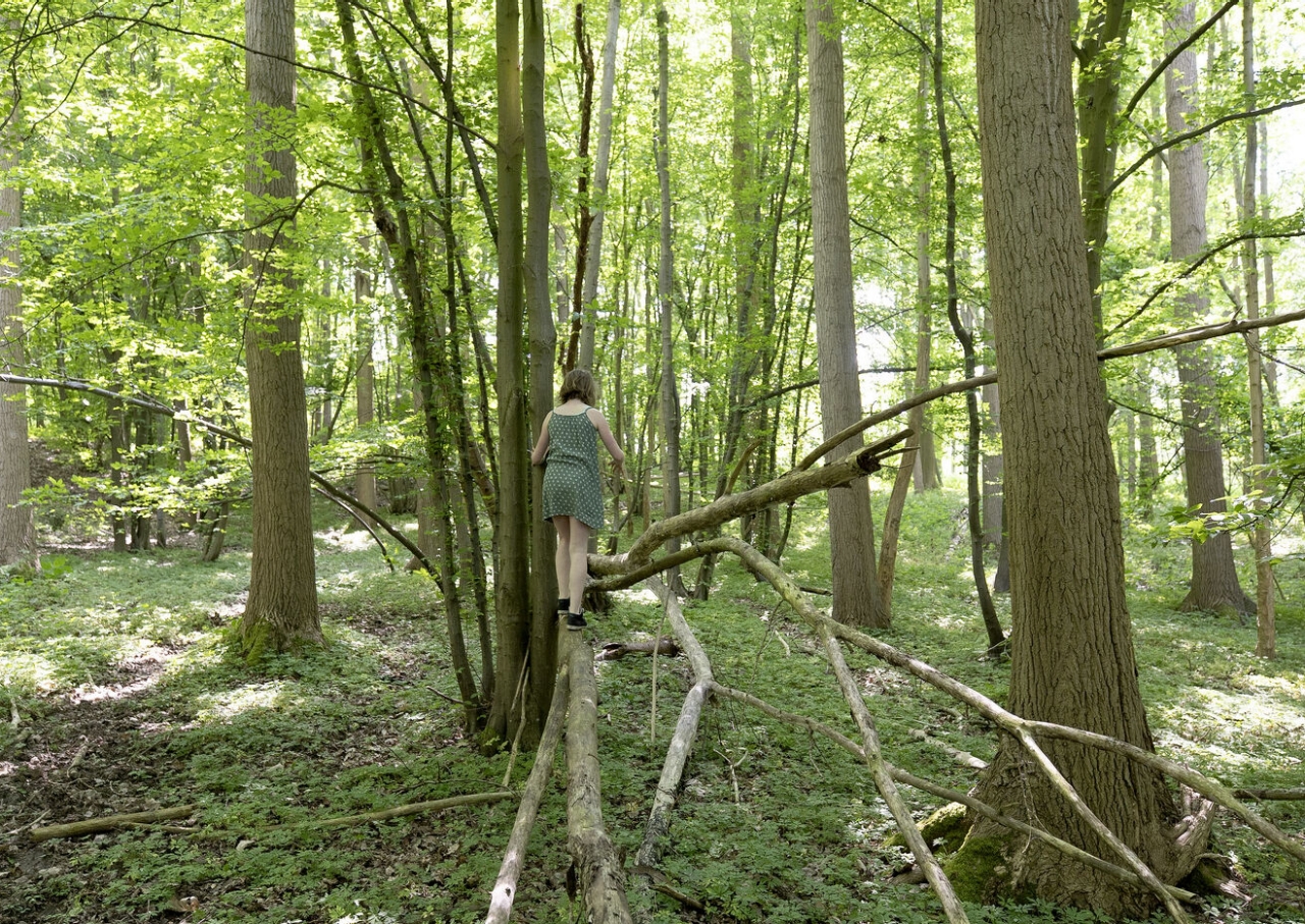 Meisje wandelt op grote tak in bos 't Ename