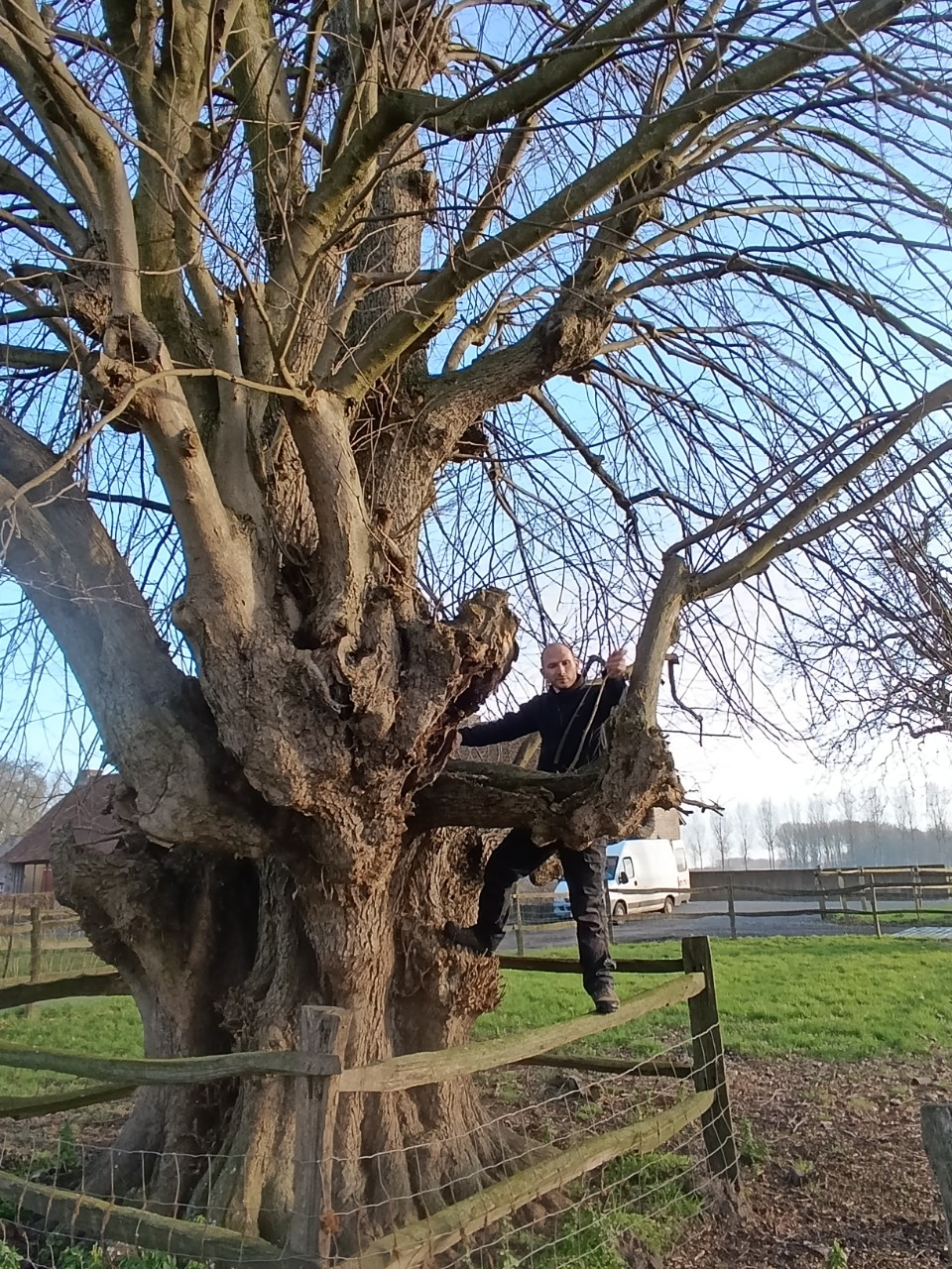 Man werkt in Erfgoedboom