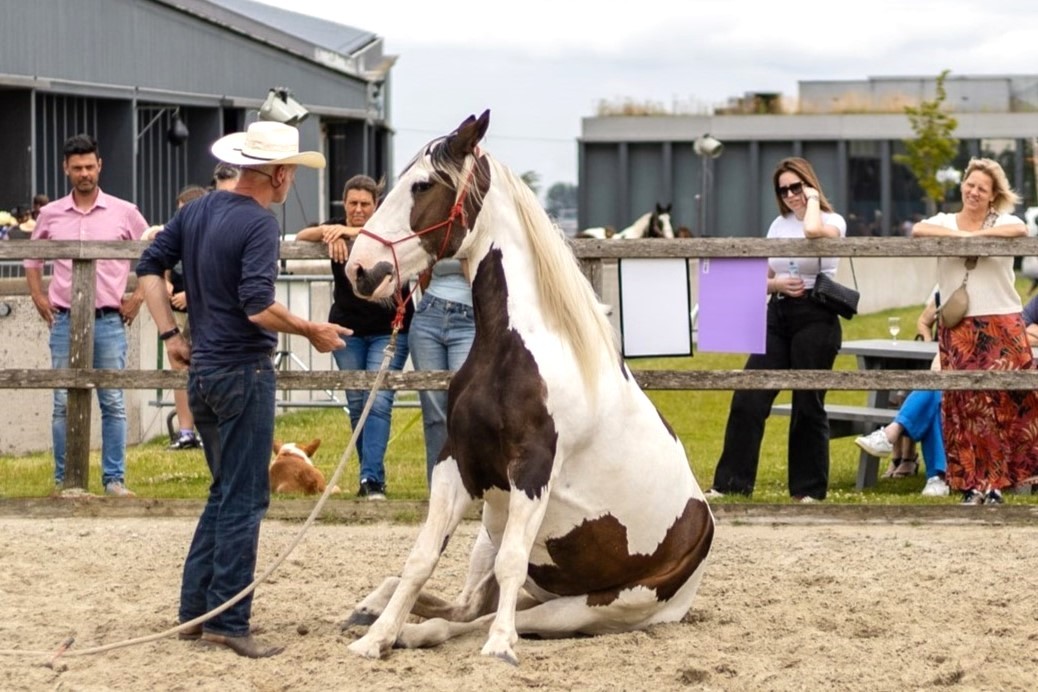 paardenfluisteraar aan het werk op Beleef het paard aan de Boerekreek