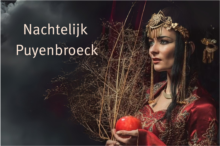 Nachtelijk Puyenbroeck
