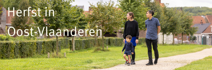 herfst in oost vlaanderen