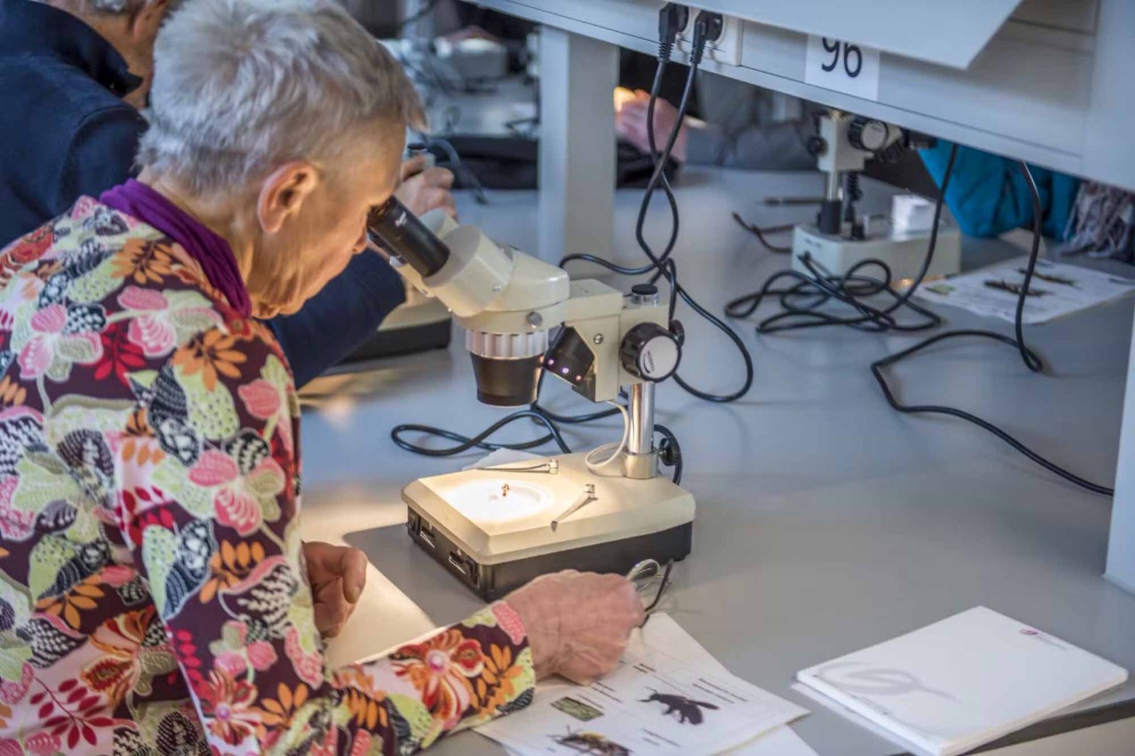 dame kijkt in microscoop