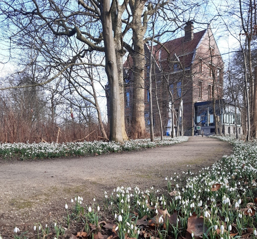 Sneeuwvlokjes in Mola Molencentrum