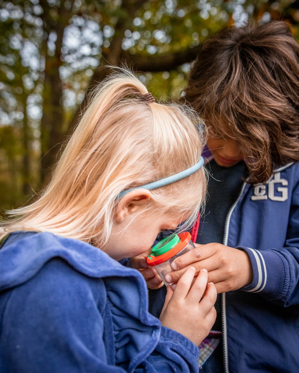 diertjes vangen en onderzoeken aan de natuurtent