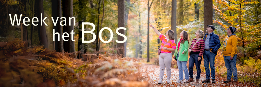 Banner week van het bos: volwassen mensen wijzen naar een titel in het bos