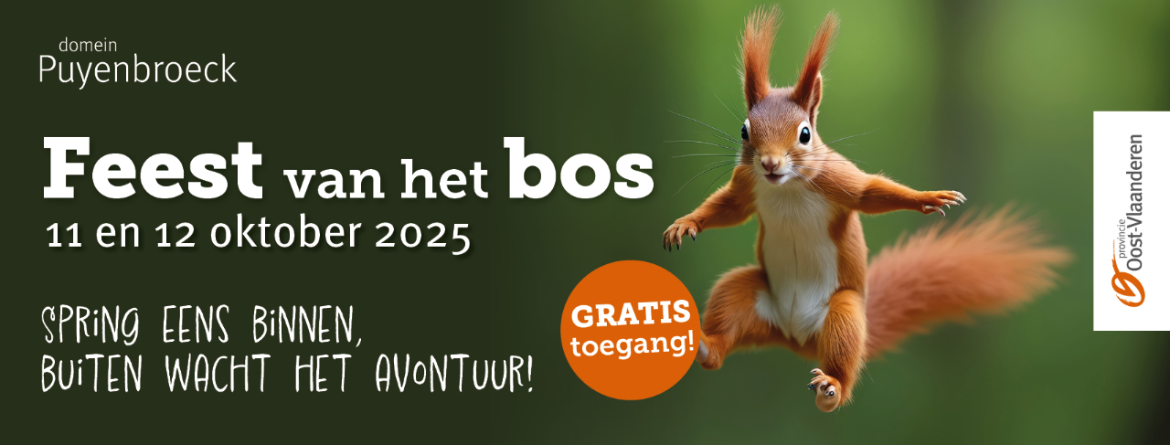 feest van het bos