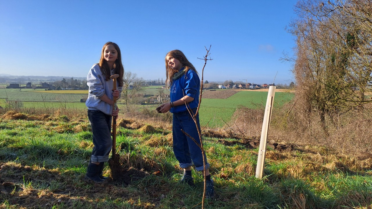 kinderen platen bomen aan