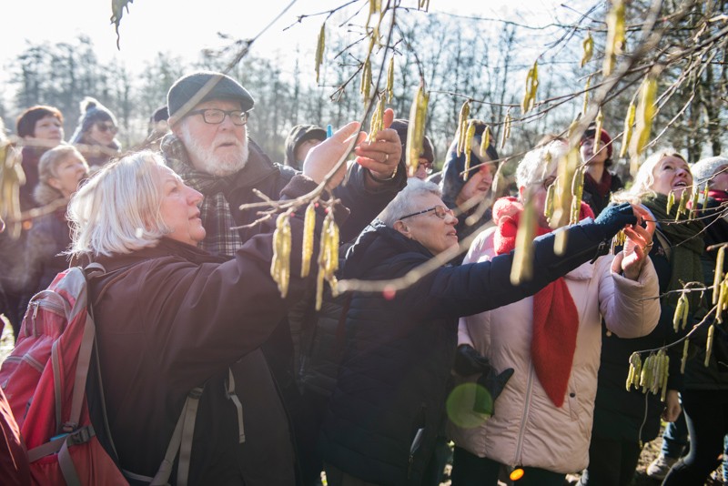 winterwandeling met gids in domein De Brielmeersen