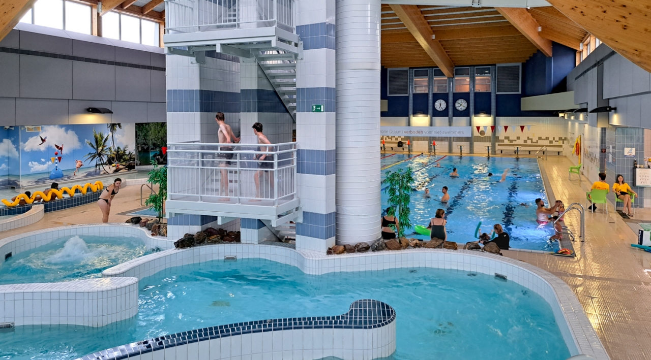 zwemmen het zwembad van de gavers in de winter