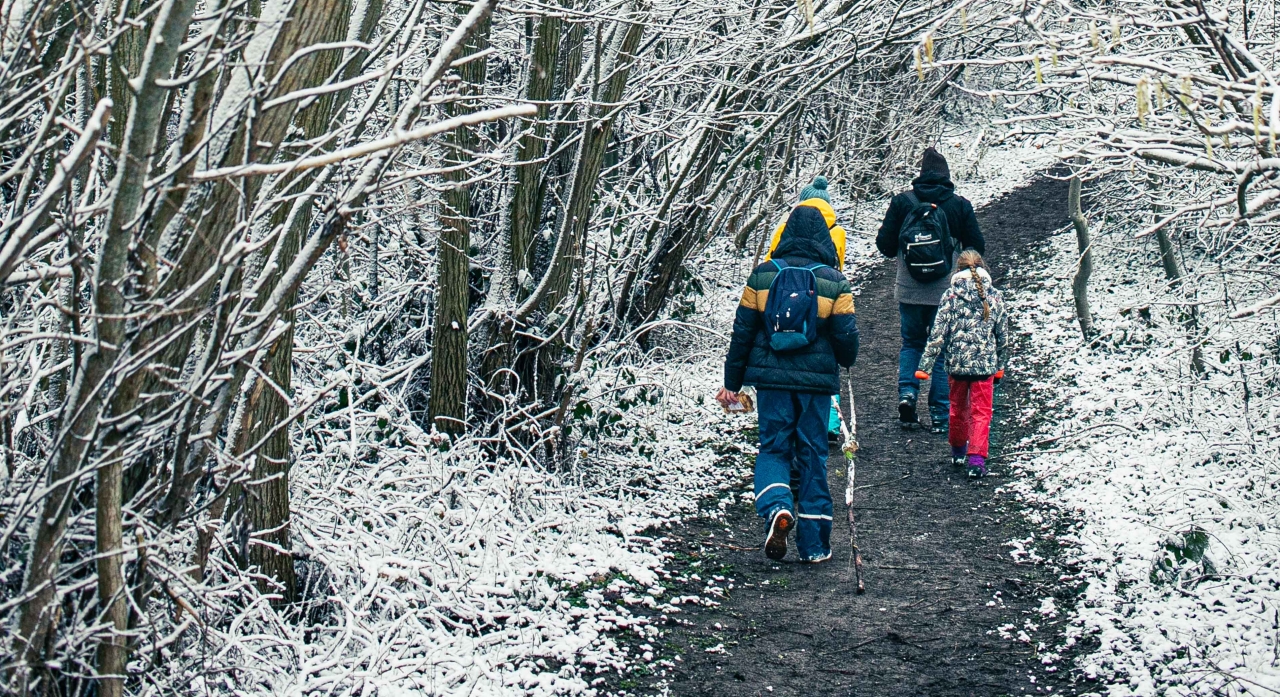 Winterwandeling in een provinciaal domein