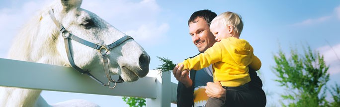 Man en kindje voederen een paard in De Boerekreek