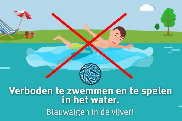 de zwemvijver in de gavers is opnieuw open