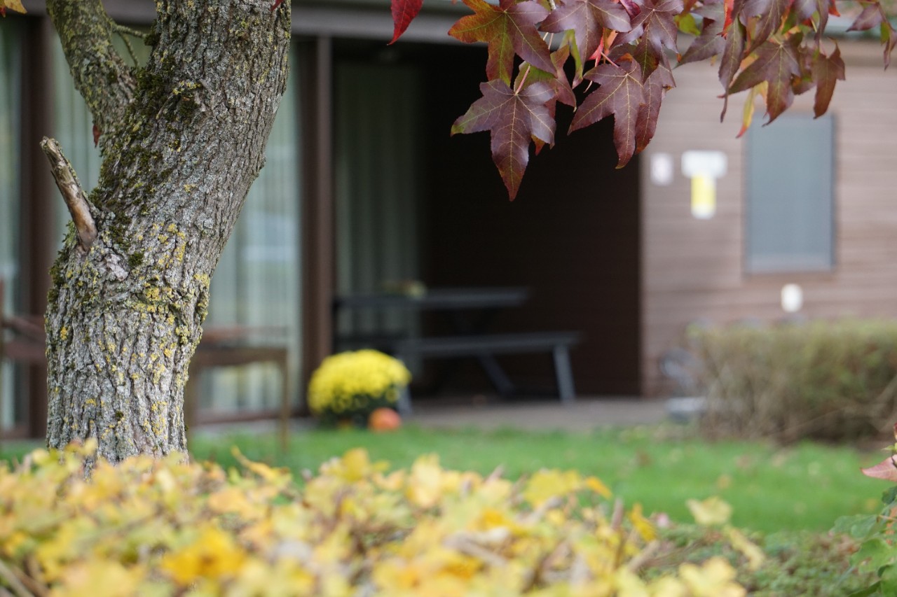 herfstbeeld bungalow de gavers