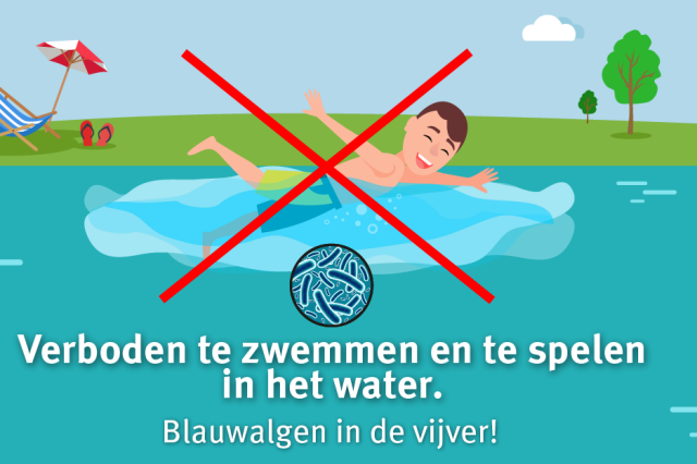 verboden te zwemmen en te spelen in het water - blauwalgen in de vijver