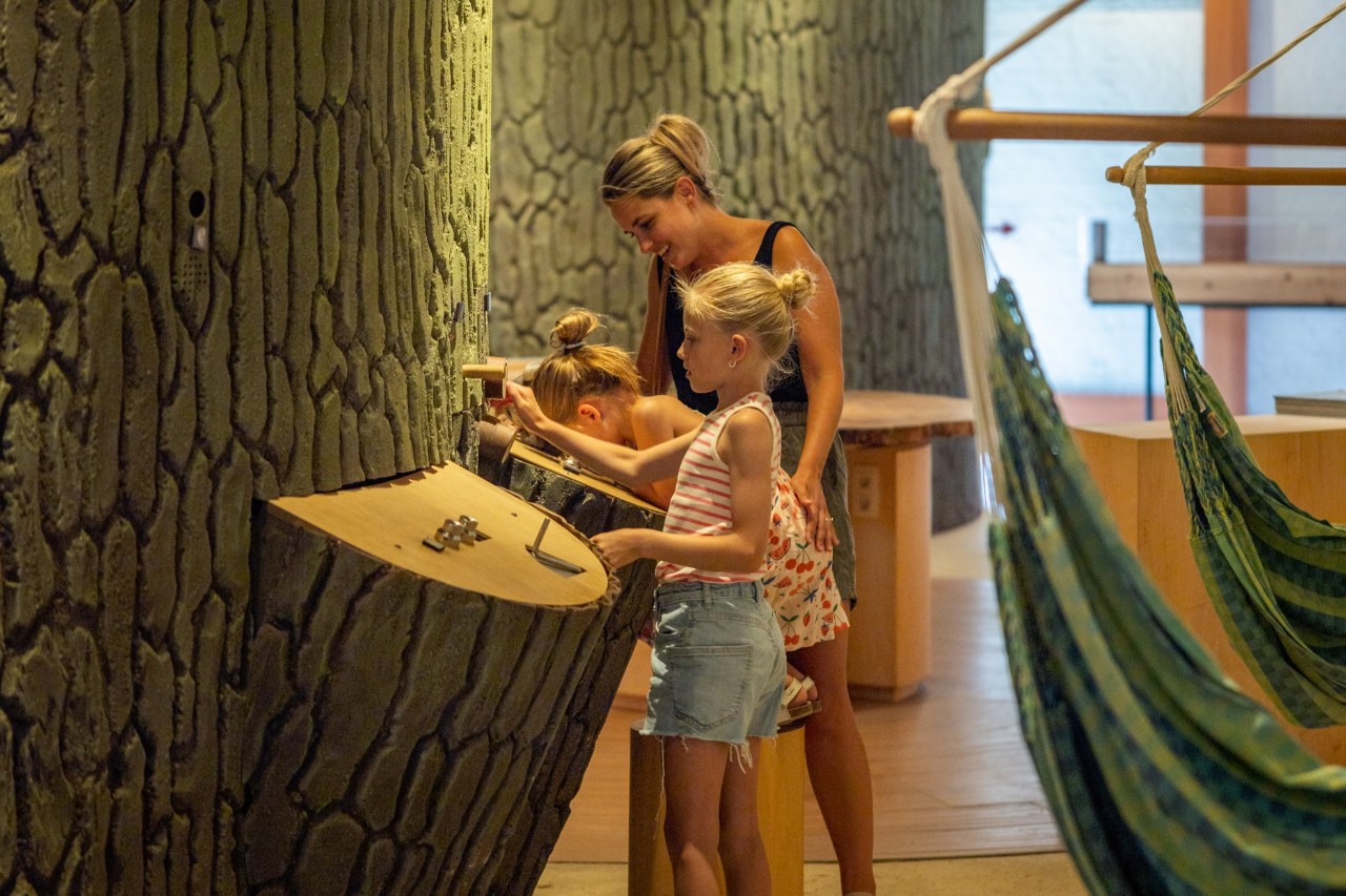 kindjes en volwassene bekijken de tentoonstelling over bos, bomen en leven in Het Leen