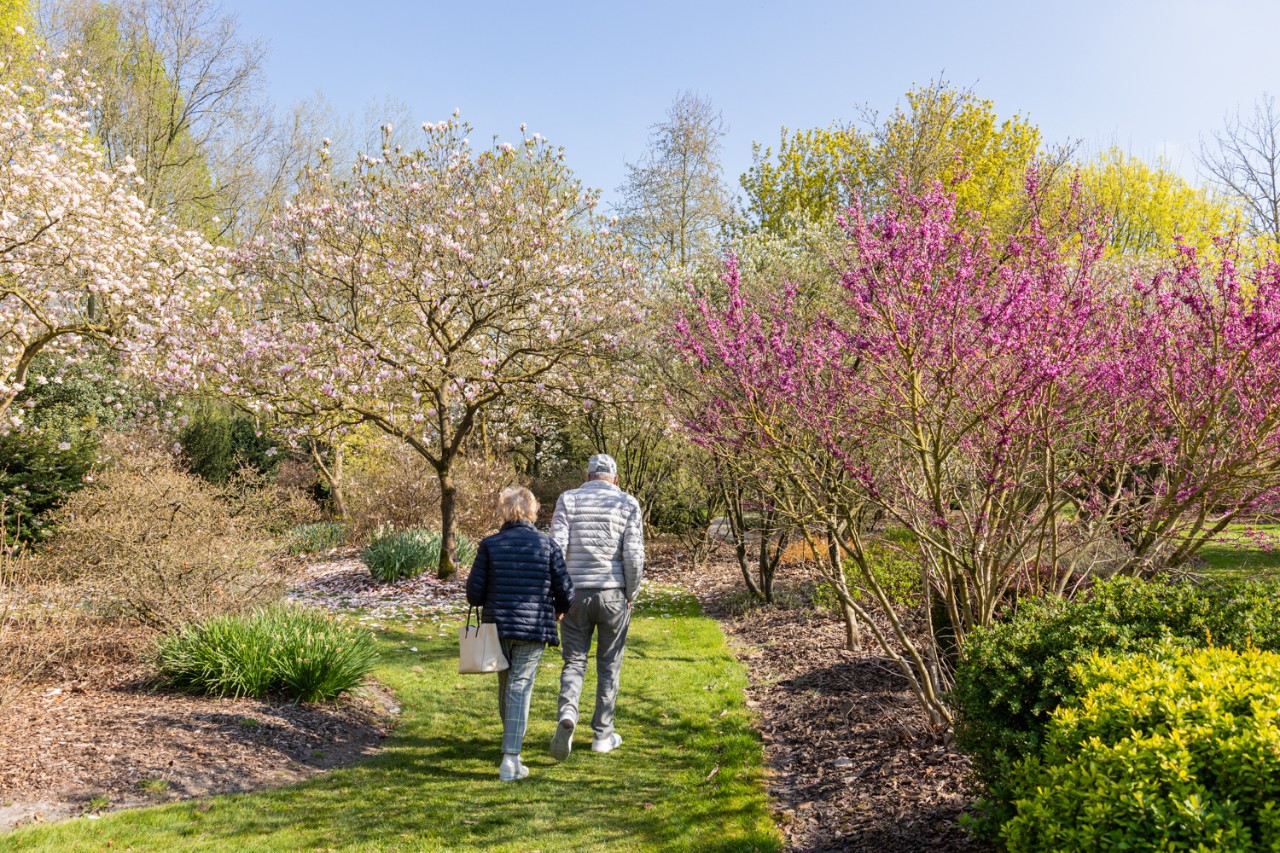 volwassenen aan het wandelen in het arboretum