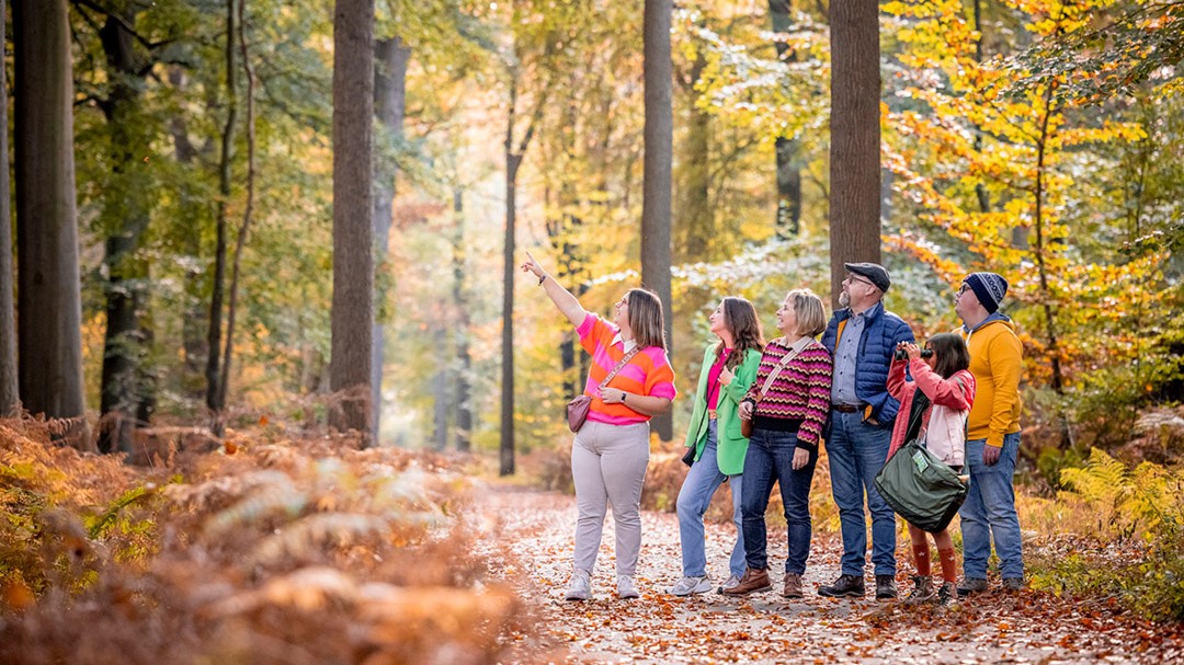herfstbeeld in het bos van Het Leen