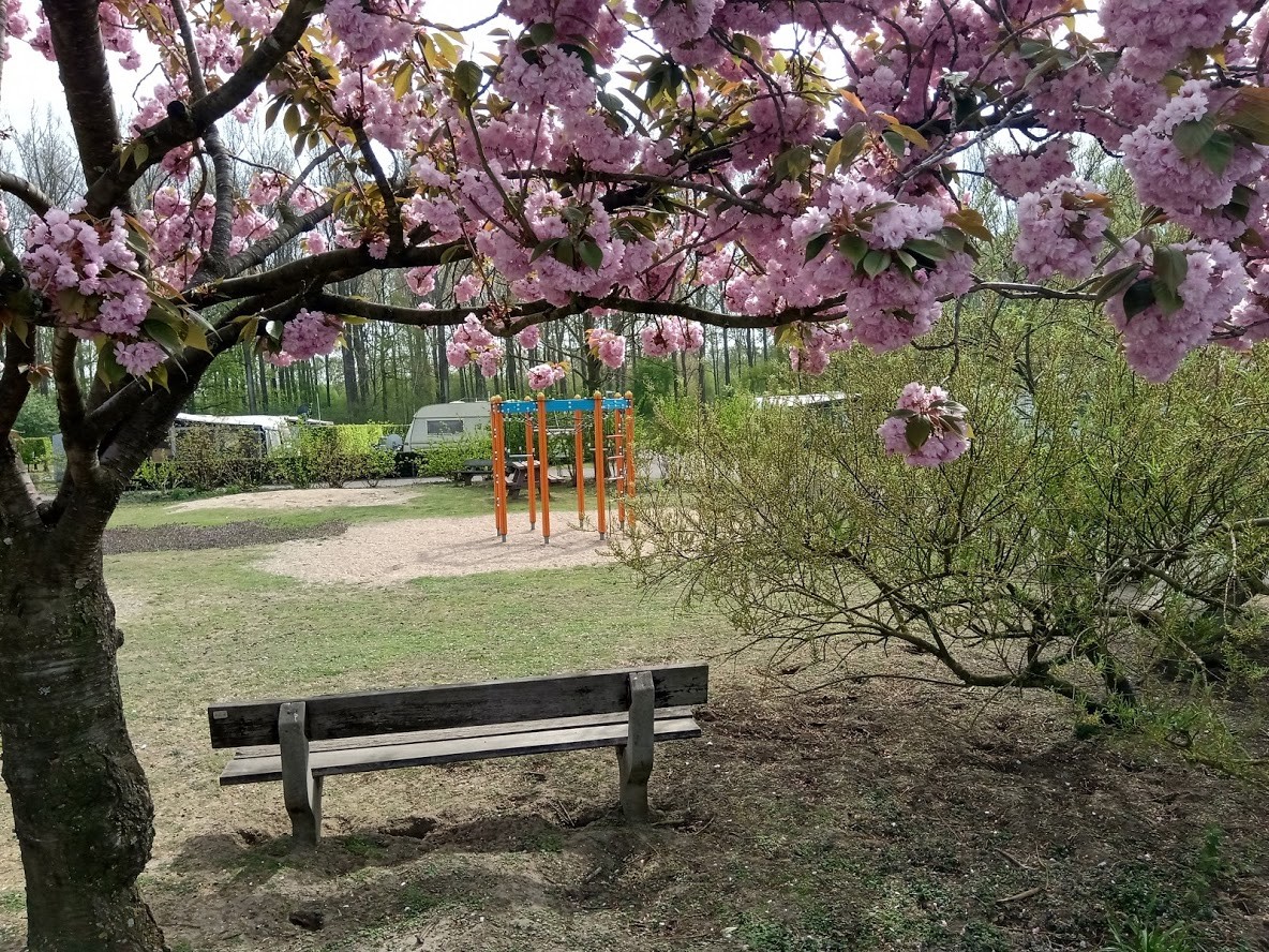 speelpleintje op camping puyenbroeck
