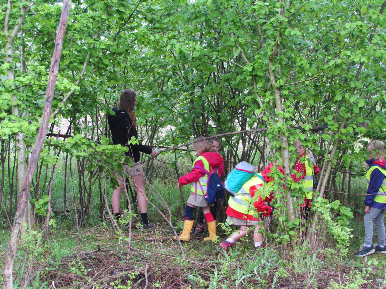 kleuters in het bos tijdens educatieve activiteit