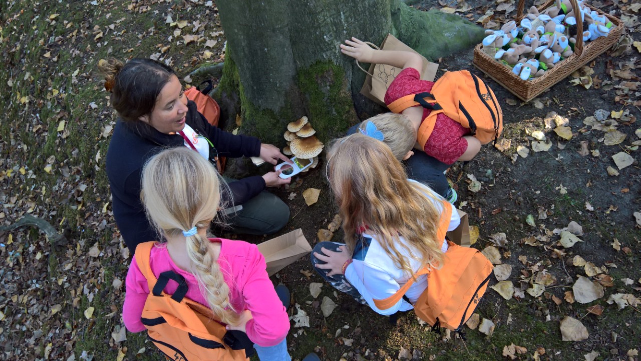 leerlingen tijdens activiteit met willy en familie het bos in