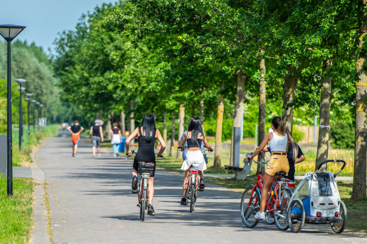 Fietsers in puyenbroeck