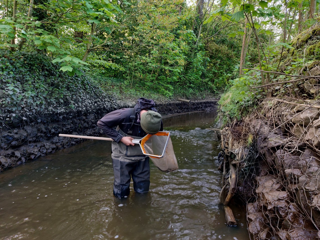 wetenschapper onderzoekt beek