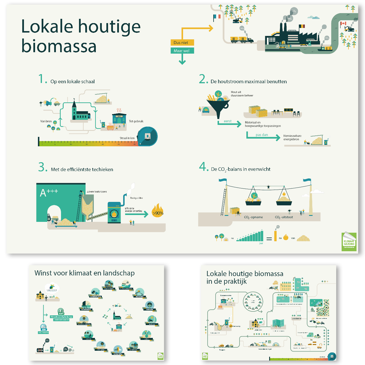 infografiek houtige biomassa