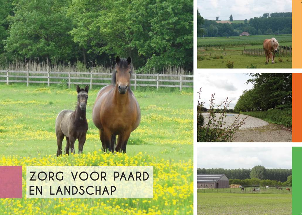 cover brochure zorg voor paard en landschap