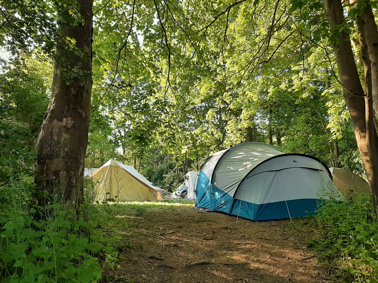 tenten in het bos bij de kampplaats voor groepen