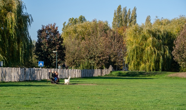 Hondenweide Nieuwdonk